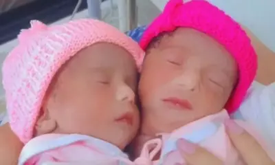 whatsapp image 2024 05 03 at 19.32.21 800x445 1 jpeg