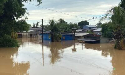 whatsapp image 2024 05 06 at 14.58.30 whatsapp image 2024 05 06 at 14.58.30