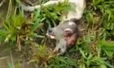 whatsapp image 2024 05 07 at 13.05.22 1000x600