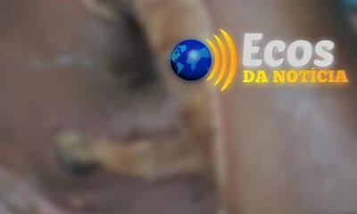 whatsapp image 2024 05 08 at 09.16.16