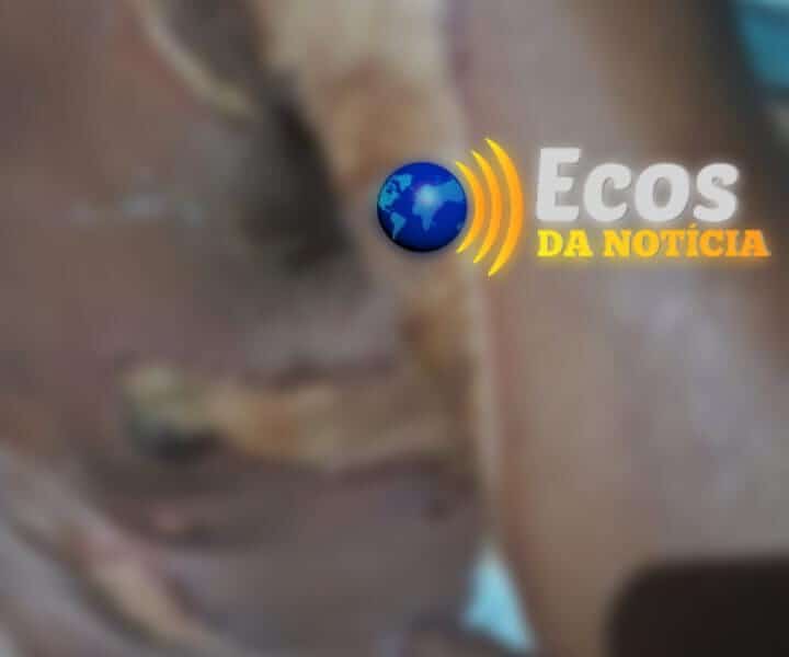 whatsapp image 2024 05 08 at 09.16.16 whatsapp image 2024 05 08 at 09.16.16