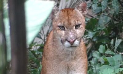 whatsapp image 2024 05 08 at 14.10.40 whatsapp image 2024 05 08 at 14.10.40