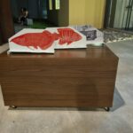 whatsapp image 2024 05 13 at 11.14.52 (1)