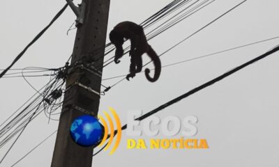 whatsapp image 2024 05 15 at 10.58.09