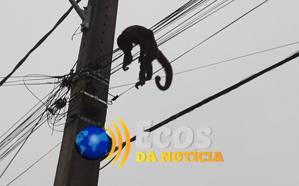 whatsapp image 2024 05 15 at 10.58.09 whatsapp image 2024 05 15 at 10.58.09