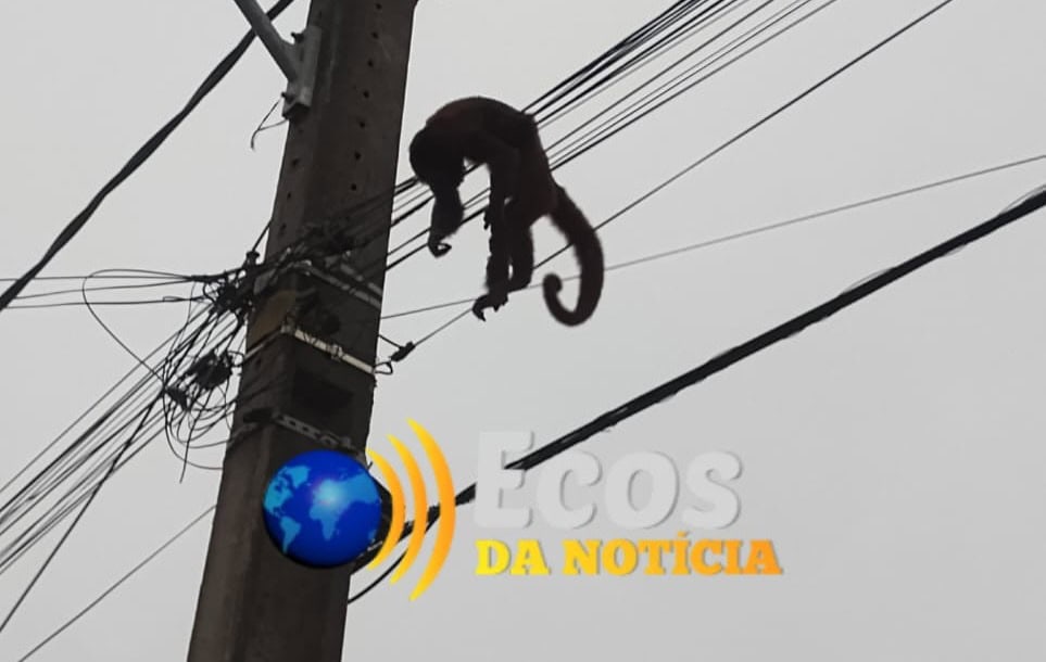 whatsapp image 2024 05 15 at 10.58.09