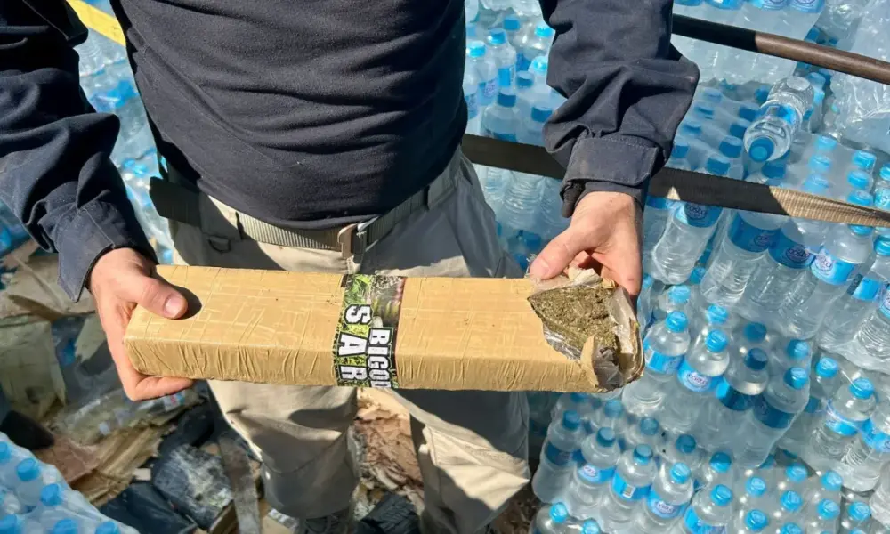 whatsapp image 2024 05 21 at 15.35.30