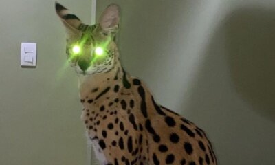 whatsapp image 2024 05 21 at 16.43.49