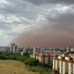 whatsapp image 2024 05 25 at 10.54.43 3