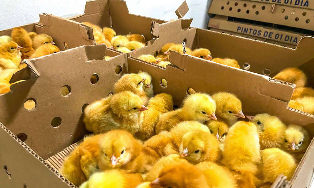 whatsapp image 2024 05 28 at 15.21.57 scaled