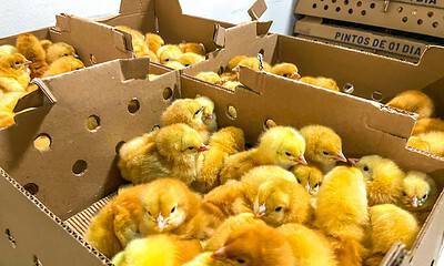 whatsapp image 2024 05 28 at 15.21.57 scaled whatsapp image 2024 05 28 at 15.21.57 scaled