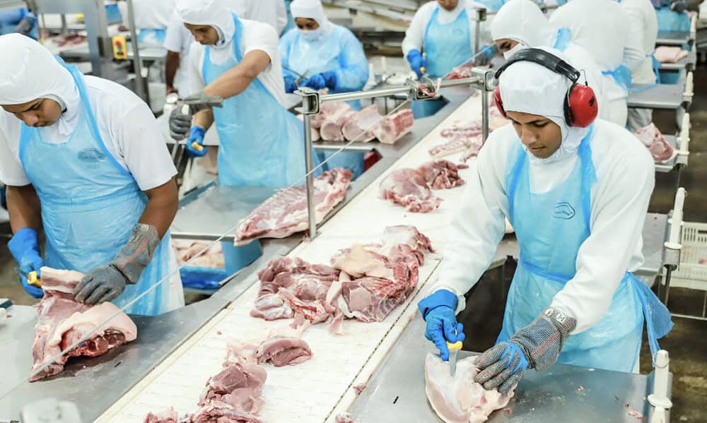 1 1678306304566 1024×683 1 1 1678306304566 1024x683 1