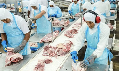 1 1678306304566 1024×683 1 1 1678306304566 1024x683 1