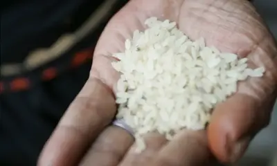 2024 05 15t141944z 1 lynxmpek4e0of rtroptp 4 bangladesh rice