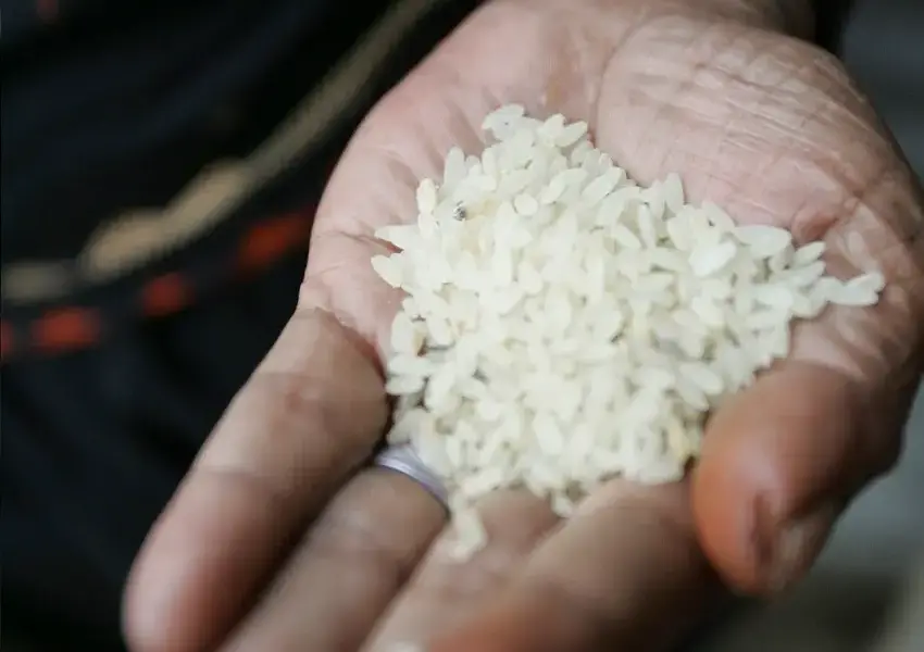 2024 05 15t141944z 1 lynxmpek4e0of rtroptp 4 bangladesh rice 2024 05 15t141944z 1 lynxmpek4e0of rtroptp 4 bangladesh rice