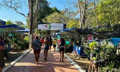 25d30c89 538f 44da baf4 5f7d2da4649d 1000x600