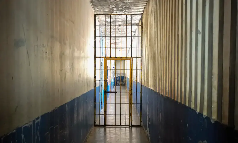 52941724590 0bc21768cc o 52941724590 0bc21768cc o