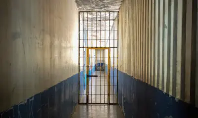 52941724590 0bc21768cc o