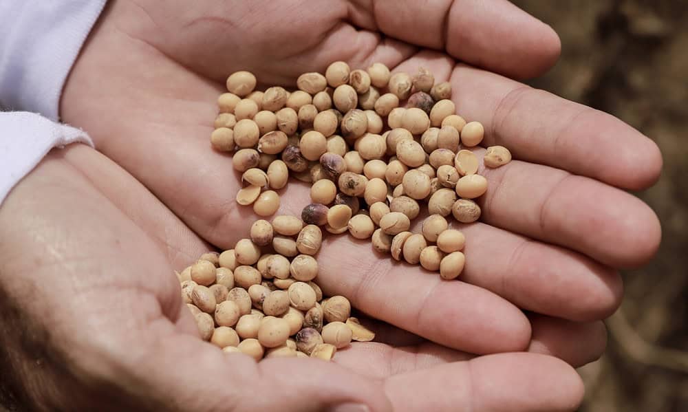 6 1678299027010 1536×1028 1 6 1678299027010 1536x1028 1