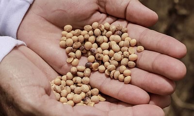 6 1678299027010 1536×1028 1 6 1678299027010 1536x1028 1