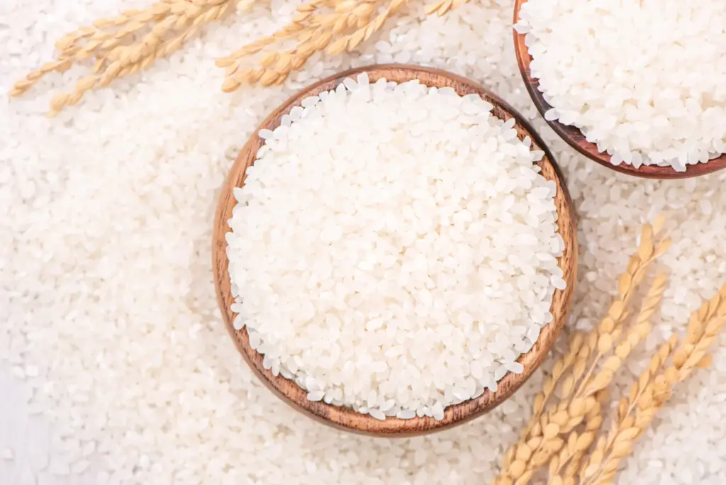 arroz