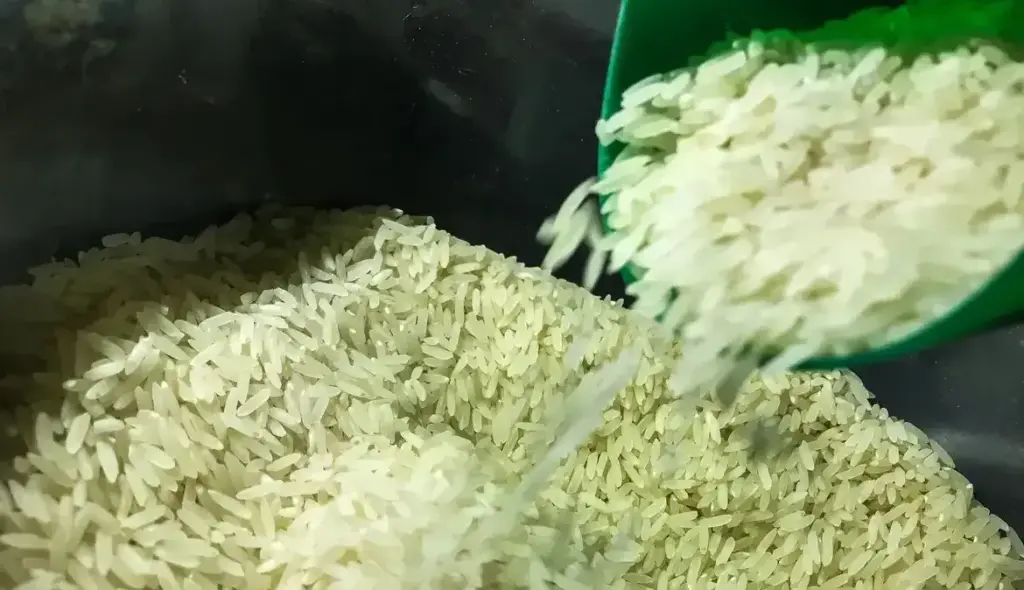 arroz 1009201524