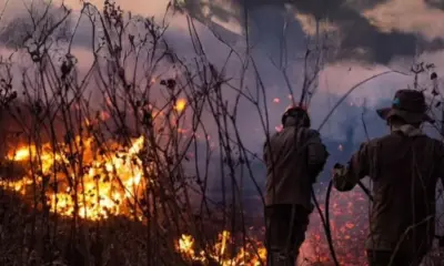 bombeiros ms e1700215289794