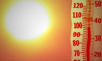 calor 1 calor 1