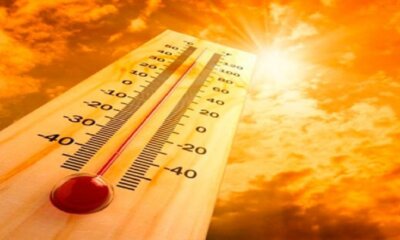 calor calor