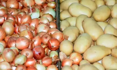 cebolas e batatas 20080567 cebolas e batatas 20080567