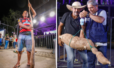 design sem nome 11 2 976x600