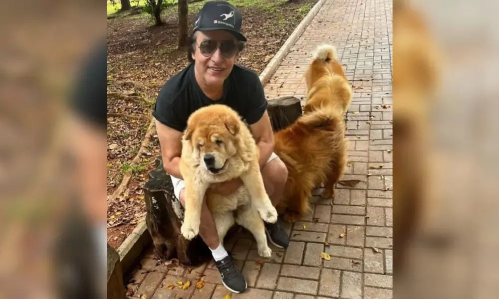 design sem nome 73 design sem nome 73