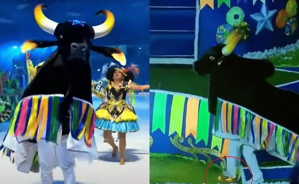 Imagem: Reprodução