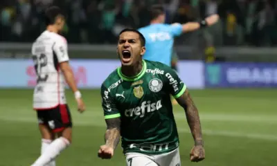 dudu palmeiras flamengo campeponato brasileiro dudu palmeiras flamengo campeponato brasileiro
