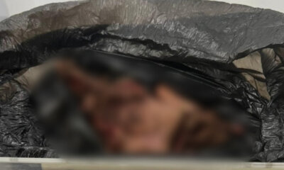 extra 2024 06 19t085716.930 1000×600 extra 2024 06 19t085716.930 1000x600