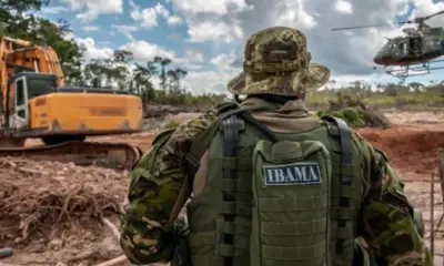 ibama greve 810×540 ibama greve 810x540