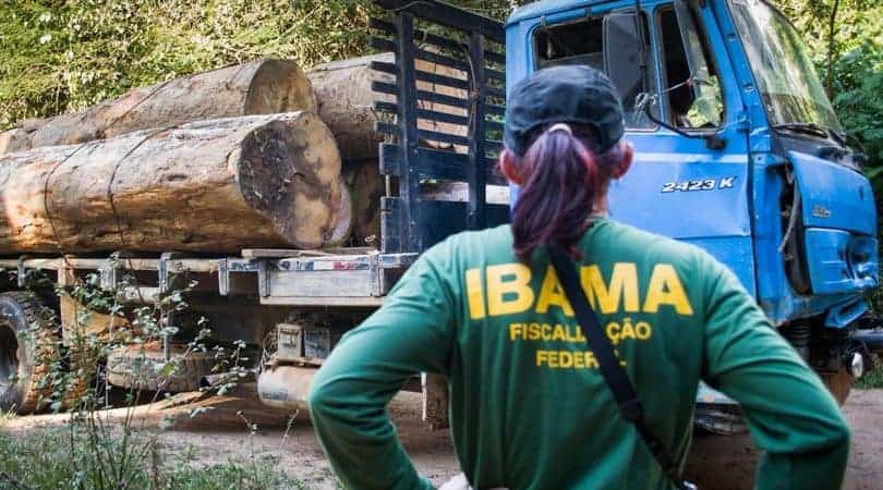 ibamaa 810x450 1