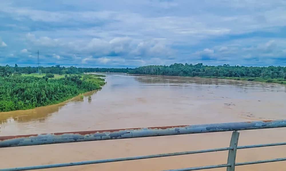 image0 1000×600 1 image0 1000x600 1