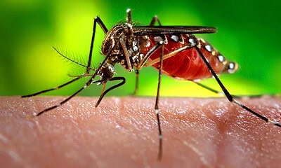 image processing20200201 29235 kzm7tn image processing20200201 29235 kzm7tn