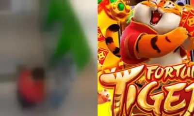 jogo tigrinho neta furta avo jogo tigrinho neta furta avo