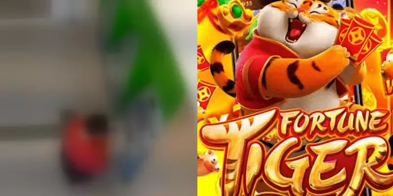 jogo tigrinho neta furta avo