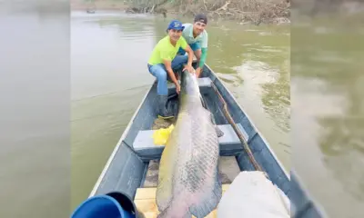 pei xegrande 913x600