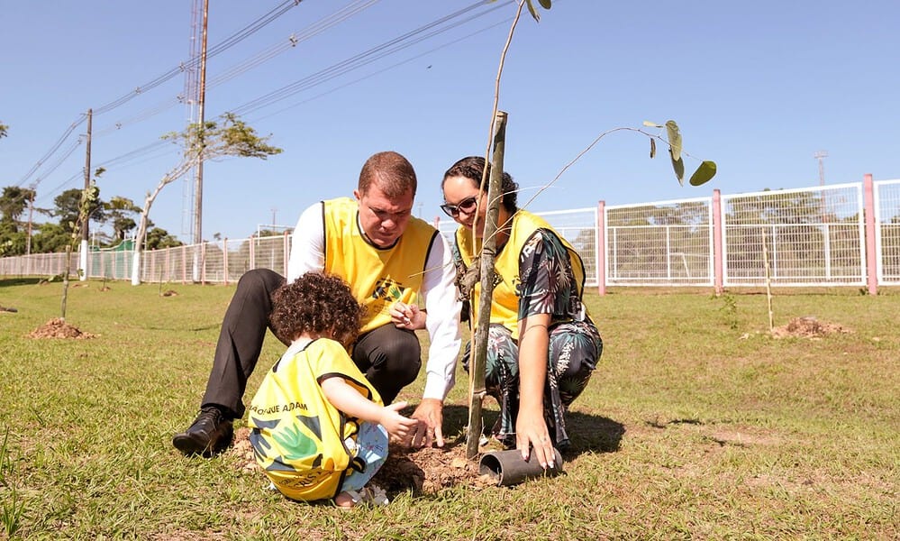 plantio de mil mudas 9 e1717707454387