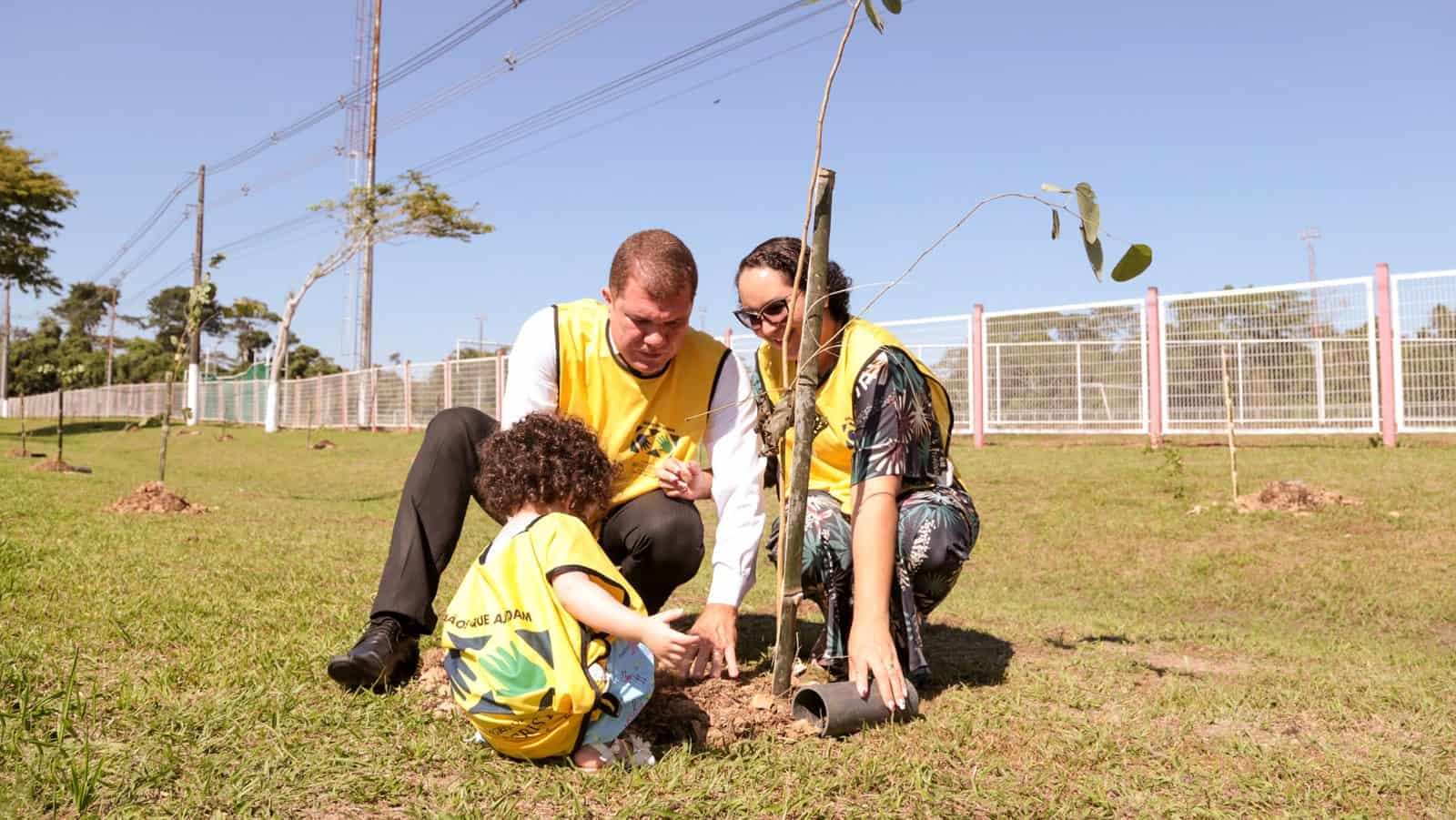 Prefeitura Realiza Plantio De Mil Mudas De Árvores Pela Semana Do Meio Ambiente