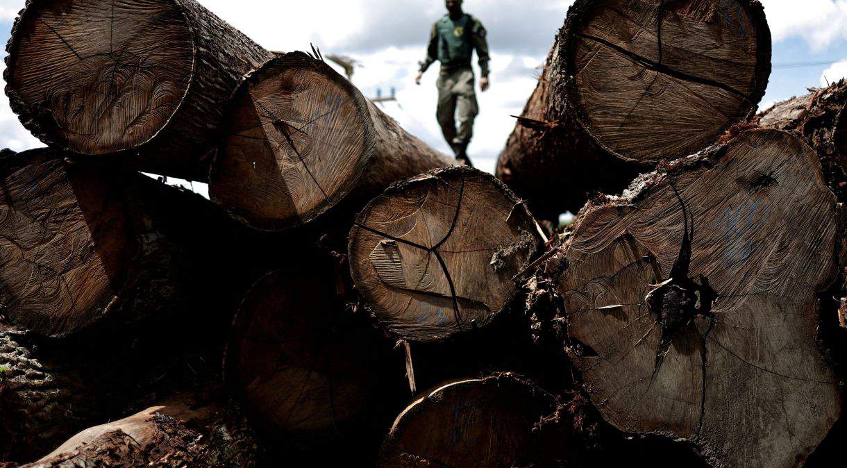 Greve do Ibama ganha fôlego e 15 estados aprovam paralisações nos próximos dias