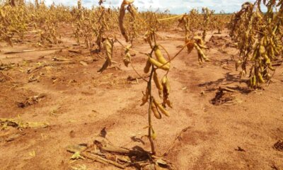 whatsapp image 2019 01 07 at 14.56.49 1 1000×600 whatsapp image 2019 01 07 at 14.56.49 1 1000x600