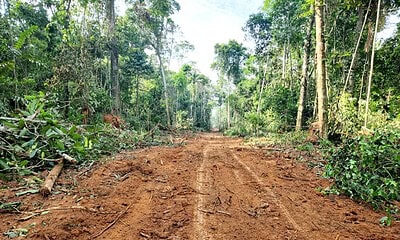 Foto: Estrada que liga Porto Walter a Cruzeiro do Sul existe, mas está interditada por ordem judicial a pedido do MPF I Ascom/DERACRE