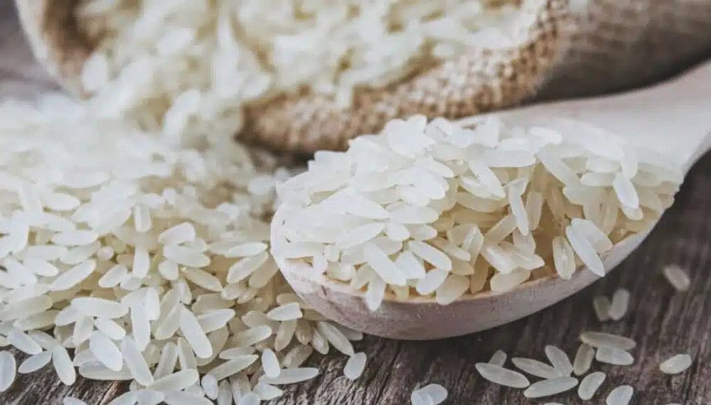 whatsapp image 2024 05 27 at 13.10.05 whatsapp image 2024 05 27 at 13.10.05