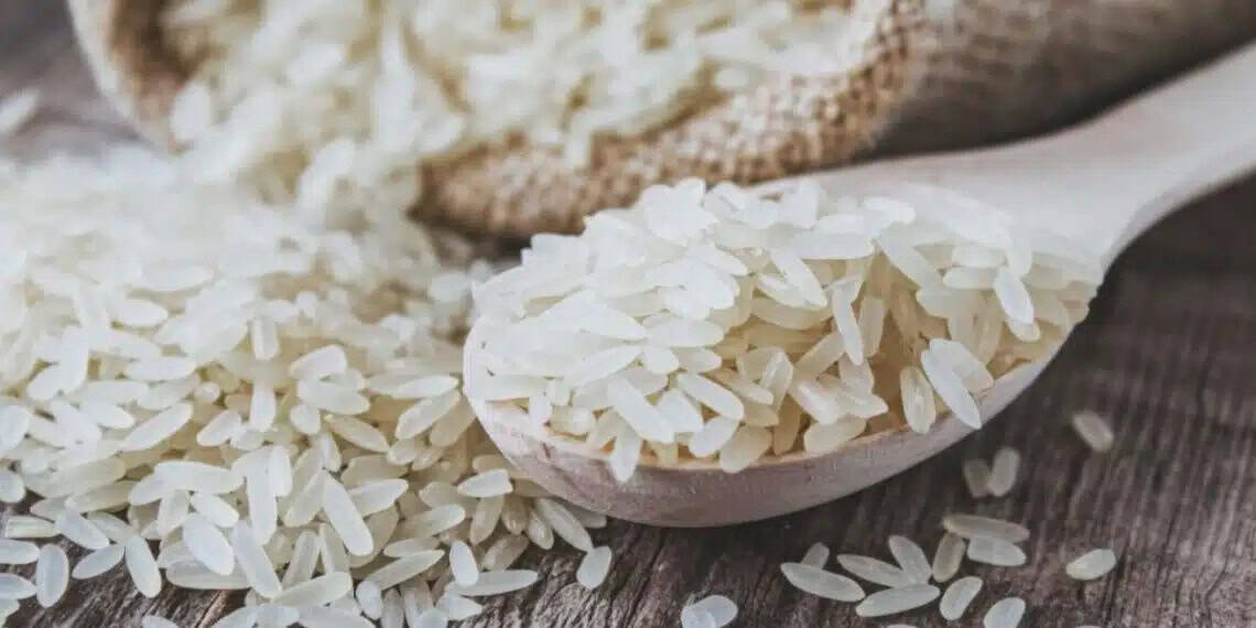 Articulação por CPI do arroz expõe insatisfação do agronegócio com governo Lula