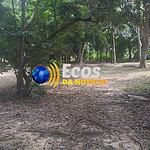 whatsapp image 2024 06 01 at 23.32.39